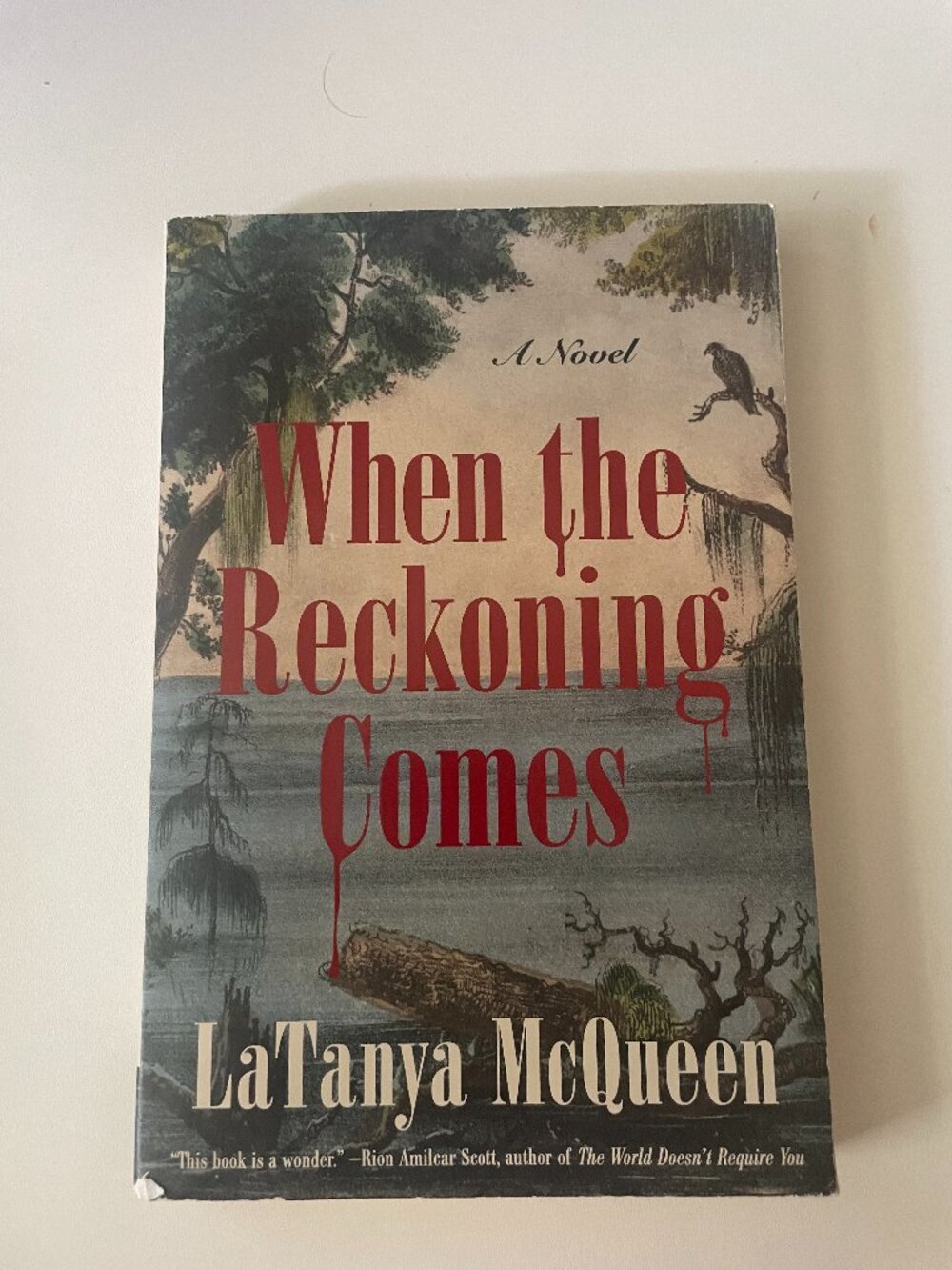 When the Reckoning Comes : A Novel by LaTanya McQueen (2021, Trade Paperback)
